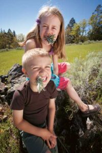 Identify Poisonous Plants and Bugs Image